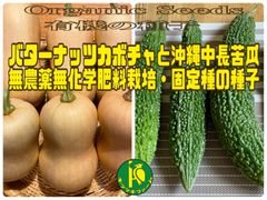 バターナッツカボチャと沖縄中長苦瓜のたね　各5粒　無農薬無化学肥料栽培の種子