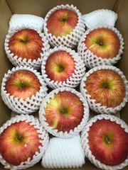【夏りんご】青森県産りんご 「つがる」家庭用 キズ有 約3kg 【光センサー選果】