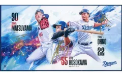 BBM 2023 大野雄大　クロス直筆サインカード　30シリアル 06051925_66603d349c5bc.jpg