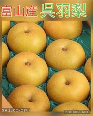 ７名様先着限定破格☆希少☆秀品☆富山県産☆呉羽梨４〜５玉入り箱☆