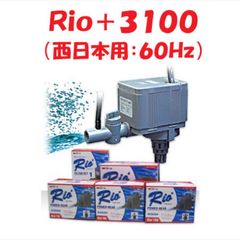 REI-SEA Filter RFG-90 上部フィルター 本体まるちゃん様専用 - メルカリ