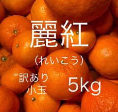 【完売御礼！】【訳あり品】熊本県産みかん　麗紅(れいこう) 5kg 小玉のサムネイル