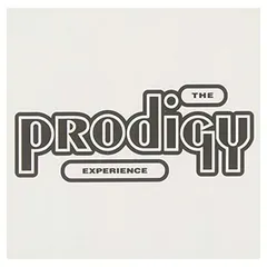 Experience