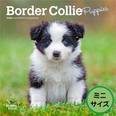 Item thumbnail for item 4d97264f-fd1c-4c44-aaa0-a89b8d681f7d