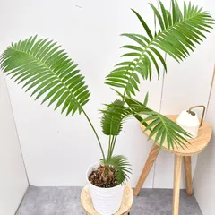 2025年最新】ディオーンの人気アイテム - メルカリ