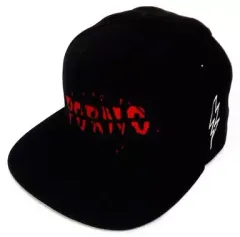 2026年最新】ポルノグラフィティ キャップの人気アイテム - メルカリ