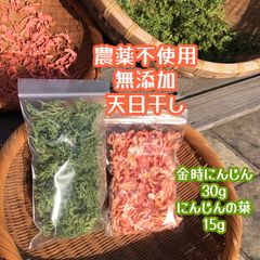 小動物無添加おやつ 乾燥金時にんじん 人参の葉 野菜 ハムスター うさぎ テグー