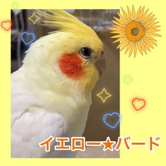 shop-thumbnail