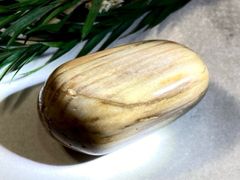 古代樹の生命力✨　樹の化石　珪化木　ペトリファイドウッド　原石　タンブル