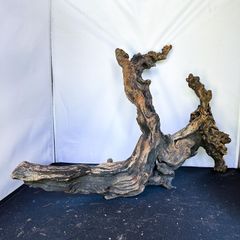 アクアテラリウム 水槽流木。水生植 物 水槽用流木 アクアリウム 盆栽