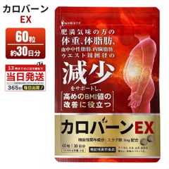 カロバーンEX サプリメント 栄養補助食品 ダイエットサポート 国産 健康食品 αリポ酸 コンブチャ ガルシニア 黒胡椒 イヌリン 酪酸菌 αリポ酸 コンブチャ ガルシニア 酪酸菌 難消化性デキストリン