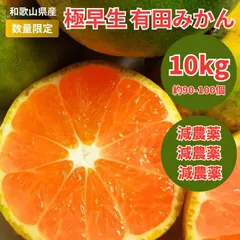 有田みかん 極早生 ゆら早生 10㎏ ミカン 減農薬 産地直送 和歌山