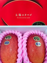 クール便 宮崎マンゴー「太陽の卵」赤秀4L2玉 - メルカリ