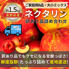 ネクタリン〜訳あり品詰め合わせ〜【内容量】約1.5kg【配送方法】クール配送【サイズ】ミックス【品目】ネクタリン【品種】ミックス【産地】長野県【規格】ご家庭用B品【詰め方】パック詰め【配送までの日数】1～4日