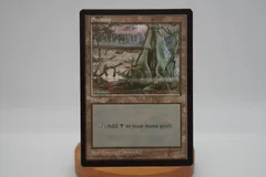 沼　APAC 2 3枚 APAC1)《沼/Swamp》(Illus.Edward P.Beard Jr.)[APACランド