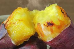 熊本大津 紅はるか 5kg サツマイモ 芋 焼き芋 蒸し焼芋