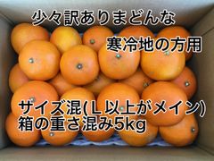 愛媛県産　愛果28号(まどんな)  Ｌ〜ミックスサイズ箱込5kg   ※寒冷地の方用※