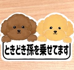 ときどき孫を乗せてます【トイプードル2匹ボード】マグネットタイプ/シールタイプ/吸盤タイプ/