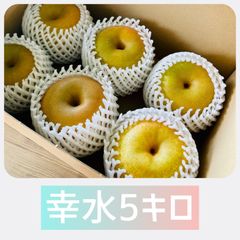 農家直売】ソテツ子株 5kg 大きめサイズ多め - メルカリ
