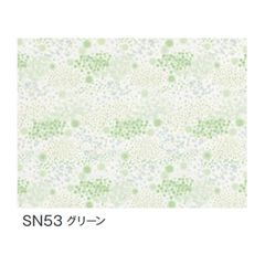 Item thumbnail for item 6b185562-e062-43b9-9b89-18253b597a33