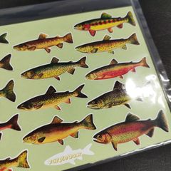 送料無料　トラウト　渓流　ニジマス「川の魚　１４匹　ステッカー」（魚サイズ約４０ｍｍ～約５０ｍｍ）