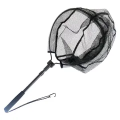 渓流タモ 712pnc3zZbL.jpg_BO30,255,255,