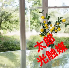 2025年最新】観葉植物 フェイクグリーン レモンの人気アイテム 2025年最新】観葉植物 フェイクグリーン レモンの人気アイテム