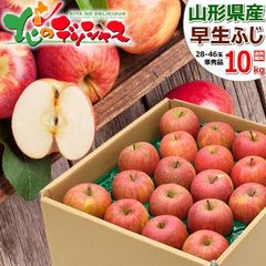 【予約/10月上旬(10月3日)頃～出荷予定】 山形県産 ご家庭用 りんご 早生ふじ 10kg (準秀品/26玉～46玉入り) リンゴ 林檎 ご自宅用 ご家庭用 お家用 お得 お買い得 果物 フルーツ 山形県 山形県直送 グルメ お取り寄せ