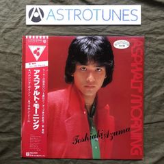 高中正義 ブラジリアン・スカイズ Brazilian Skies レコード - メルカリ
