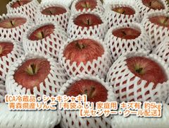 【CA冷蔵品・シャキシャキ】青森県産りんご「有袋ふじ」家庭用 キズ有 約5kg【光センサー・クール配送】