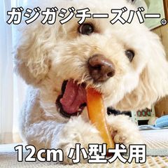 犬 チーズ 無添加 国産 おやつ【ガジガジチーズバー】【バニラテイスト】【 12cm 小型犬用 】北海道産 手作り ガム 長持ち 硬い ペット・ペットグッズ 犬用品 ドッグフード・ おやつ チーズ ドッグチュルピ