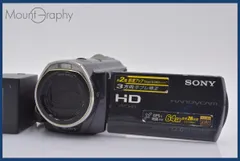 2025年最新】hdr-cx520の人気アイテム - メルカリ