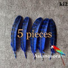 ◾️⭐︎【ki2 青】5枚キジ 鳥の羽根 フェザー 素材 パーツ ドリームキャッチャー