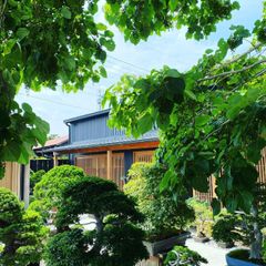 龍【石井盆栽】リバースグリーン 活力剤 ペレットタイプ(10㎏) 龍【石井盆栽】リバースグリーン 活力剤 ペレットタイプ(10