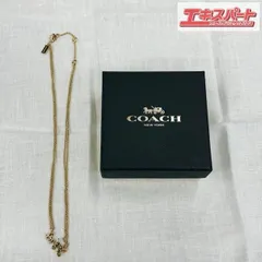 COACH 馬車ネックレス ダブルチェーン 湘南台店