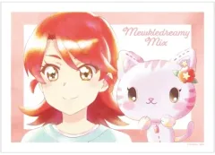 【中古】ポスター A3マット加工ポスター ねね＆安西ときわ Ani-Art aqua label 「ミュークルドリーミー みっくす!」