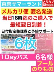 お得！ 東京 サマーランド【9名様】1DAYパス 《プール・遊園地