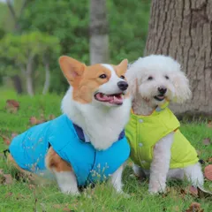 2023年最新】犬リバーシブルダウンジャケットの人気アイテム - メルカリ
