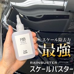 RB スケールバスター　ボトル　100ml クロス付　スケール除去　水アカ除去　解説動画有り　ウロコ　プロ仕様