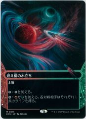 MTG/日本語版/燃え柳の木立ち/Grove of the Burnwillows/星景