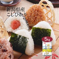 米 新潟県産 こしひかり 5kg 令和6年産 お米 白米 おくさま印 国産 食品 ギフト 引っ越し 挨拶 出産 内祝い 母の日 父の日 お中元 お歳暮 結婚 快気 還暦 香典返し 寒中 暑中見舞い お年賀 送料無料