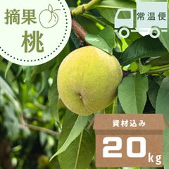 山形県産 加工用 若桃 摘果桃 20キロ - メルカリ