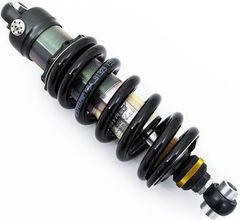 美品 トライアンフ ナイトロン リヤサス NITRON NTR R3Series - メルカリ