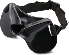 Item thumbnail for item 4128a989-dded-4414-8dd3-3eaf6a48a816