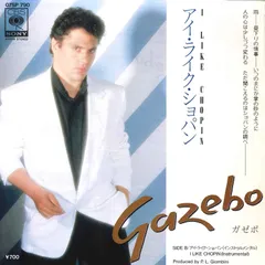 2025年最新】i like chopin gazeboの人気アイテム - メルカリ