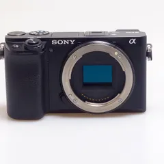 2025年最新】α6100の人気アイテム - メルカリ
