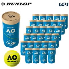 新品】DUNLOP AO テニスボール 2球入×30缶 60球 - メルカリ