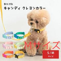 【BITE ME / バイトミー】キャンディクレヨンカラー Mサイズ 全6色【犬 首輪 おしゃれ パステルカラー ビビットカラー 小型犬 中型犬 軽い 軽量 韓国 海外 人気】