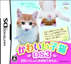 かわいい子猫DS3