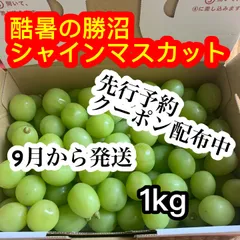 g76山梨県産極甘希少ゴールデンシャインマスカット箱込み5kg g76山梨県産極甘希少ゴールデンシャインマスカット箱込み5kg